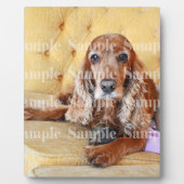 Foto für Haustiere PERSONALISIEREN Fotoplatte (Vorderseite)