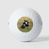 Foto für Haustiere Personalisiert modern Golfball (Vorderseite)