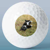 Foto für Haustiere Personalisiert modern Golfball