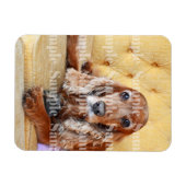 Foto für Haustiere PERSONALIZE Magnet (Horizontal)