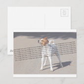 Foto für Haustiere Postkarte (Vorne/Hinten)