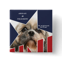 Foto für Haustiere Präsidentschaftswahl 2024 Kandi