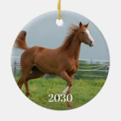 Foto für Haustiere Reitpferde Lover Keramik Ornament (Hinten)