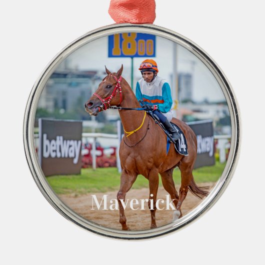 Foto für Haustiere Reitpferde Lover Ornament Aus Metall (Vorne)