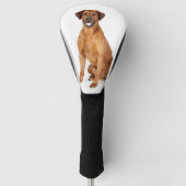 Foto für Haustiere Rhodesian Ridgeback Golf Headcover (Vorderseite)