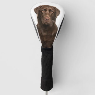 Foto für Haustiere Schokolade Labrador Golf Headcover
