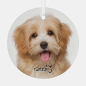 Foto für Haustiere und Name Weihnachtsglas Ornament Aus Glas (Rückseite)