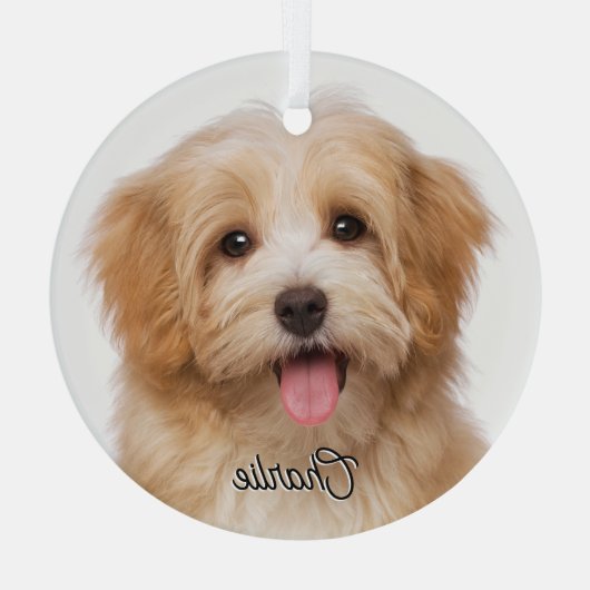 Foto für Haustiere und Name Weihnachtsglas Ornament Aus Glas (Rückseite)