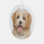 Foto für Haustiere und Name Weihnachtsglas Ornament Aus Glas (Vorderseite links)