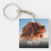 Foto für Haustiere wäre nicht lange genug gewesen Schlüsselanhänger (Vorderseite)
