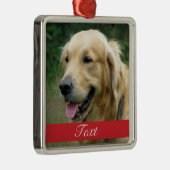 Foto für Heimtiere anpassbar Silbernes Ornament (Rechts)