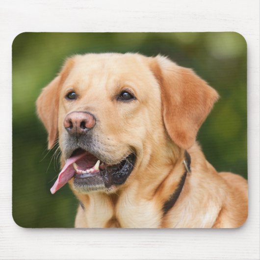 Foto für Heimtiere Personalisiert hinzufügen Mousepad (Vorne)