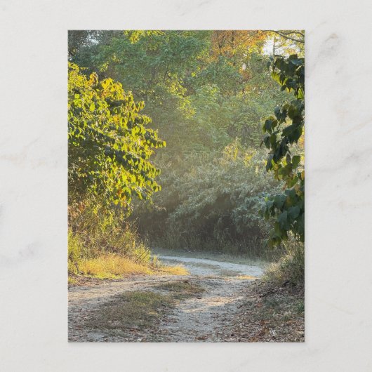 Foto für Herbstpfade Postkarte (Vorderseite)