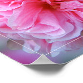 Foto für Hollyhock Pink Blume Poster (Ecke)