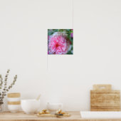 Foto für Hollyhock Pink Blume Poster (Küche)