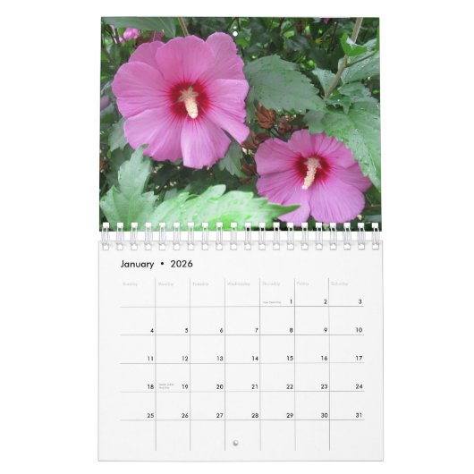 Foto für hübsche Blume Kalender (Jan 2026)