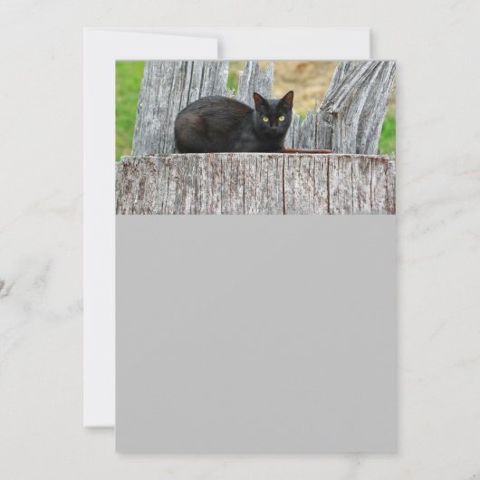 Foto für hübsches Schwarzes Katzen Einladung (Rückseite)