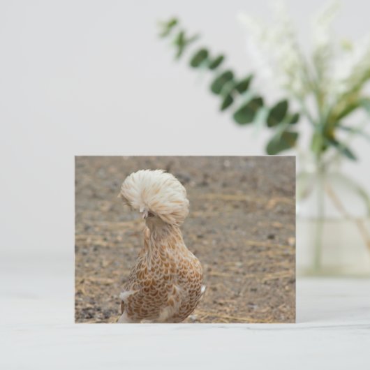 Foto für Hühner Postkarte (Stehend Vorderseite)