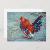 Foto für Hühnerfarben Postkarte (Vorne/Hinten)