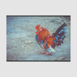 Foto für Hühnerfarben Seidenpapier