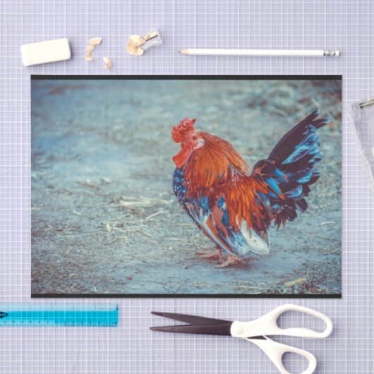 Foto für Hühnerfarben Seidenpapier (Handwerk)