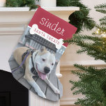 Foto für Hunde in den Leckereien des Weihnachtsman Kleiner Weihnachtsstrumpf<br><div class="desc">Sorge dafür, dass der Weihnachtsmann auch bei dir Halt macht, mit einzigartigen Weihnachtsstrümpfen. Ihr Hund wird diesen lustigen Weihnachtsweihnachtssong personalisiert für sie Liebe. Der Strumpf zeigt Ihre Haustiere personalisieren den Namen mit einem weißen Hundeknochen, das die Worte "Santa Leckereien" überlagert. Niedlich und festlich und viel Platz für Hunde Leckereien ....</div>