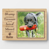 Foto für Hunde in Memorial Fotoplatte (Vorderseite)