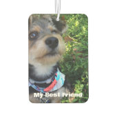 Foto für Hunde Katzen-Memorial Autolufterfrischer (Rückseite)