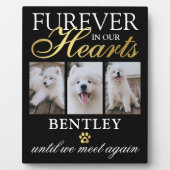 Foto für Hunde-Memorial Fotoplatte (Vorderseite)