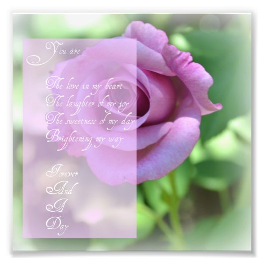 Foto für immer und für jeden Tag (Vorne)