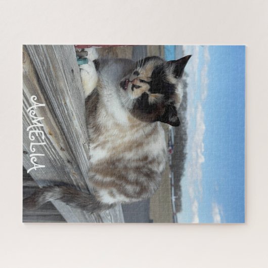 Foto für Katzen, Familiennacht, Spaß nach Maß Puzzle (Horizontal)