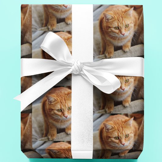 Foto für Katzen personalisieren Geschenkpapier