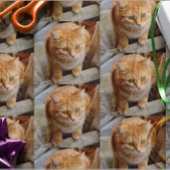 Foto für Katzen personalisieren Geschenkpapier