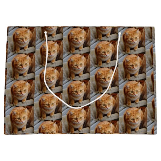 Foto für Katzen personalisieren Große Geschenktüte (Vorderseite)