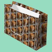 Foto für Katzen personalisieren Große Geschenktüte