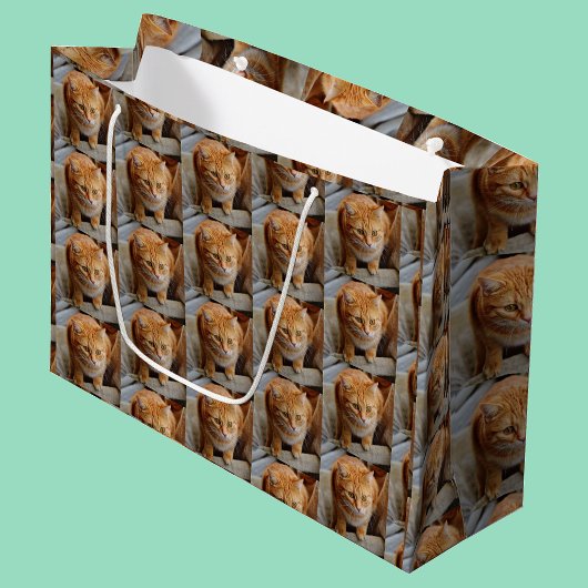 Foto für Katzen personalisieren Große Geschenktüte