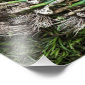 Foto für Knoblauch, frisch gepulst (Ecke)