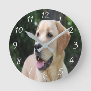 Foto für kundenspezifische Hunde - Acrylwand Runde Wanduhr