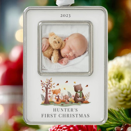 Foto für Landtiere Rahmen-Ornament Silber