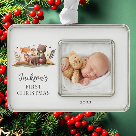 Foto für Landtiere Rahmen-Ornament Silber