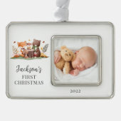 Foto für Landtiere Rahmen-Ornament Silber (Vorderseite)