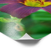 Foto für lila Taglilie (Ecke)