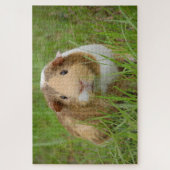 Foto für niedliche Guinea Puzzle (Vertikal)