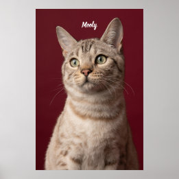 Foto für personalisierte Hunde und Katzen, sofort Poster