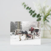 Foto für Pferde und Buggy im Central Park Winter Postkarte (Stehend Vorderseite)