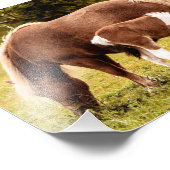 Foto für Pferde und Pony (Ecke)