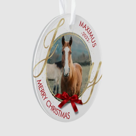 Foto für Pferdeame Ornament (Vorderseite)