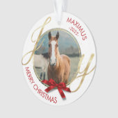 Foto für Pferdeame Ornament (Vorderseite)