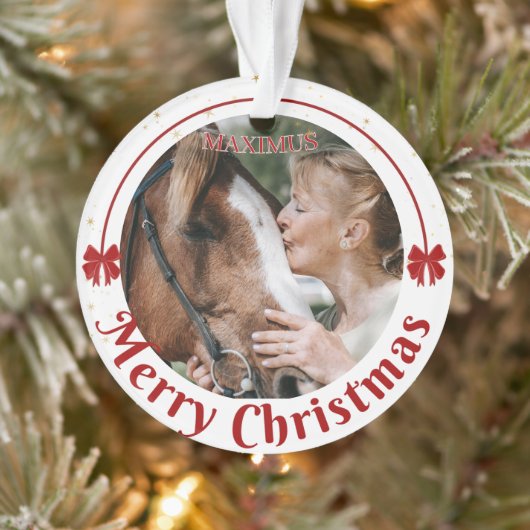 Foto für Pferdeame Ornament (Baum)