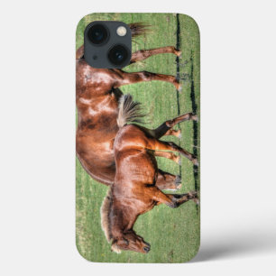Foto für Rote Wanderer und Feldtiere Case-Mate iPhone Hülle